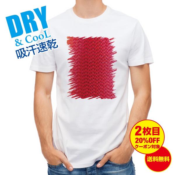 TVc GM g}g ނ  A[  Y S  t  H Ci[   ʔ 傫TCY 