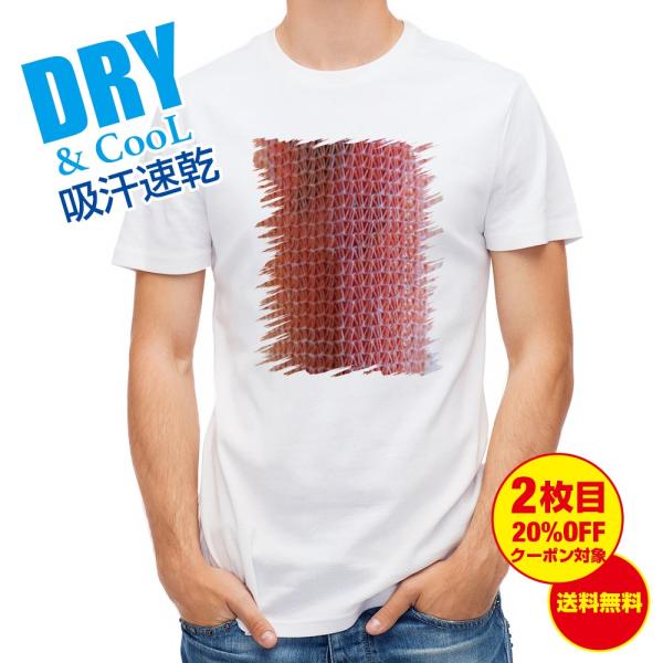 TVc GM }[usN ނ  A[  Y S  t  H Ci[   ʔ 傫TCY 