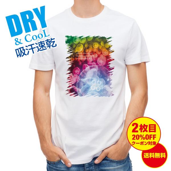 TVc r^~J[̃NQ  Y S  t  H Ci[   ʔ 傫TCY 