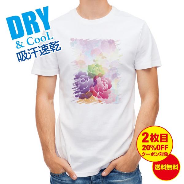 TVc t[̍  Y S  t  H Ci[   ʔ 傫TCY 