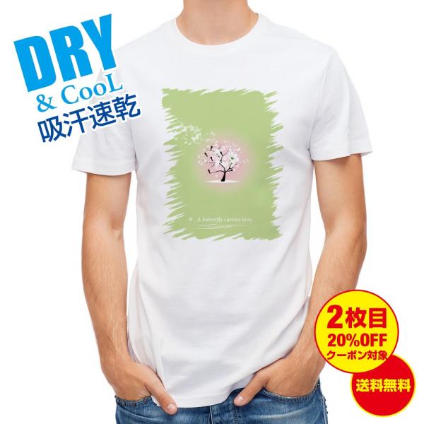 TVc Ԓ  Y S  t  H Ci[   ʔ 傫TCY 