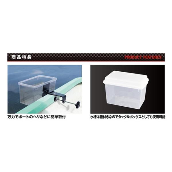 anglersweb_4548992212149_1_d_20260205190512