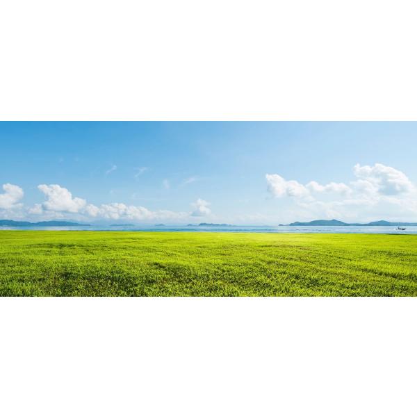 anglersweb_4550133229763_2_d_20240619214808