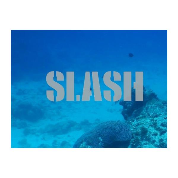 anglersweb_4909858071780_3_d_20250825121211