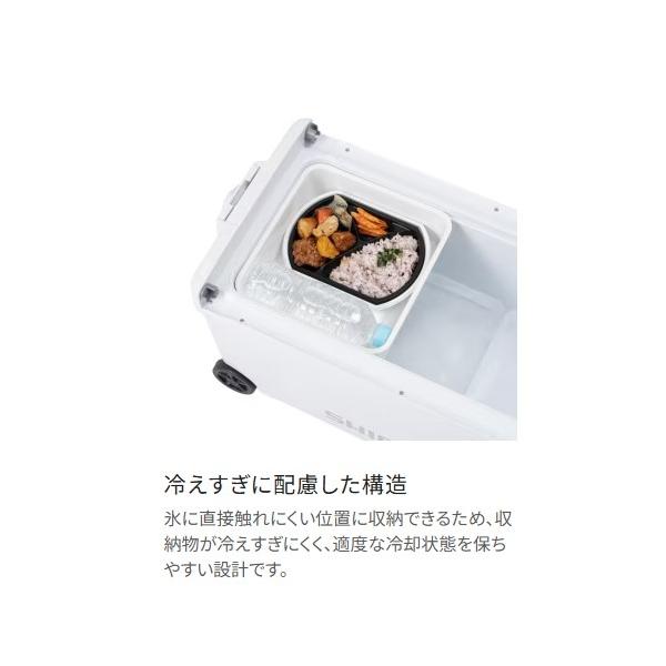 anglersweb_4969363162939_3_d_20260309191010