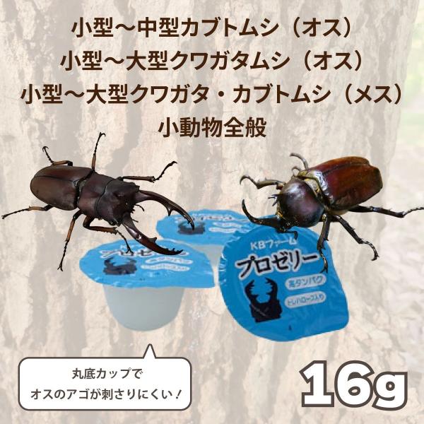 KB�t�@�[�� �v���[���[ 16g�~50�� ���Y ���^���p�N �����[���[ �o�i�i�� �N���K�^ �J�u�g���V �����p ���i�摜5