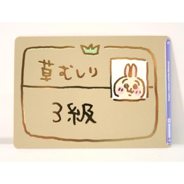 CIKW/01B-018B[BR]：草むしり検定 3級(金箔押し) 「ちいかわ ヴァイスシュヴァルツブラウ」