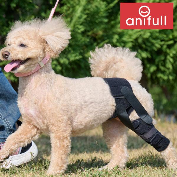 anifull 犬用サポーター アニサポヒップブラック XSサイズ anifull 公式】 アニサポ ヒップ XSサイズ 小型犬向け アニフル