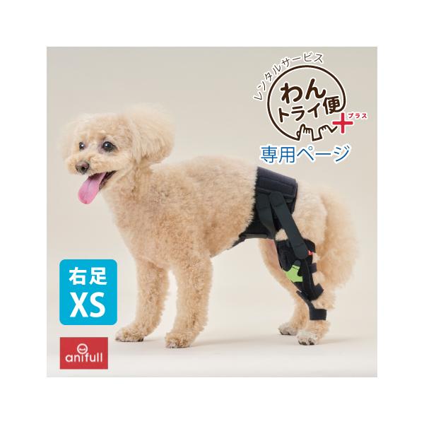 anifull 公式】【レンタルサービスわんトライ便+】7日間 アニサポ ニー