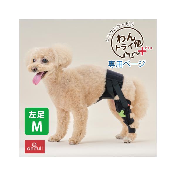 【anifull 公式】【レンタルサービスわんトライ便+】7日間 anifull ニー 左 Mサイズ アニフル  犬 犬用 パテラ 膝蓋骨脱臼 前十字靭帯 固定 膝サポーター