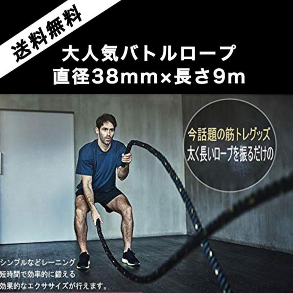 トレーニングロープ バトルロープ 38mm×長さ9m プログレード 1年