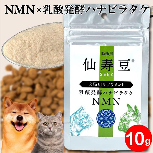 アニミューン 犬猫用サプリメント 14g✕2袋 新品・未開封】HACHI