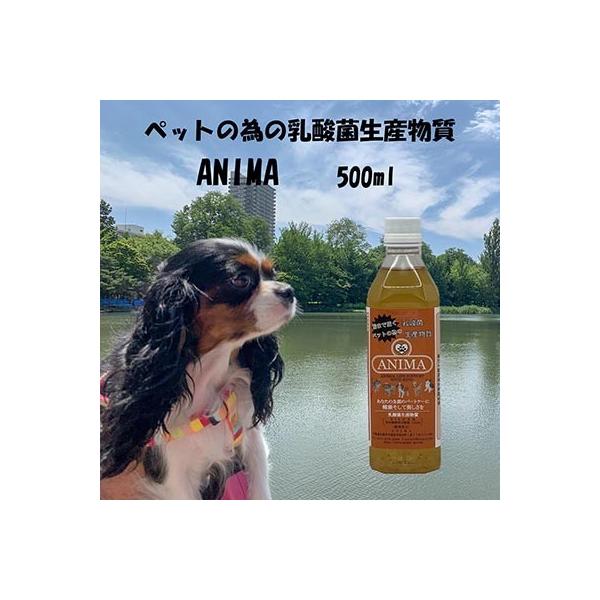 ペットの為の乳酸菌生産物質ANIMA 500ml