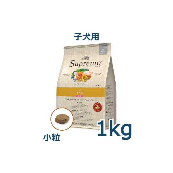 j[g@Vv@qp@@1kg(NS102)