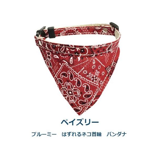 u[~[@͂lRց@o_i@yCY[