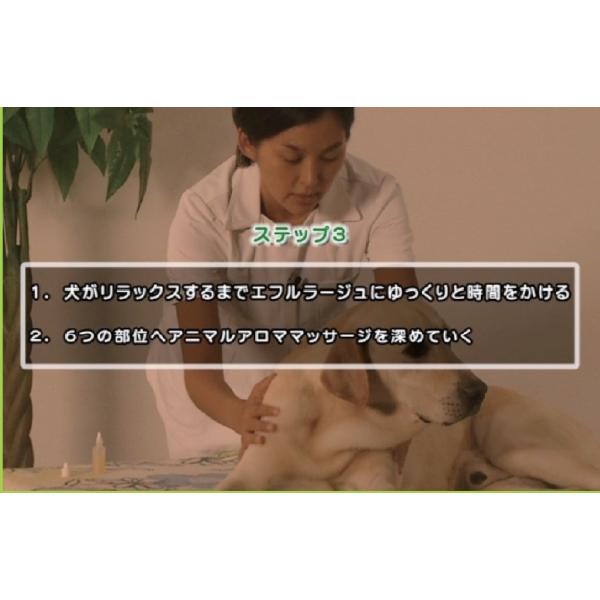 ペットの資格 通信講座 アニマルアロマアドバイザー通信認定講座 Buyee Buyee Japanese Proxy Service Buy From Japan Bot Online