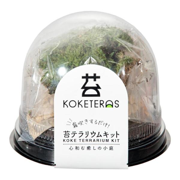 水作 ソコニワ 苔テラリウムキット
