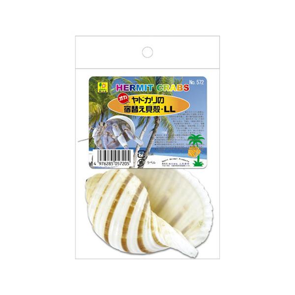 三晃商会　オカヤドカリの宿替え貝殻ＬＬ天然の造形が美しい巻貝の貝殻。種類も様々に用意されていますので、チョイスも楽しみな宿替え用の貝殻です。コレに入る位、大きく育てたくなるＬＬサイズ。ケースの中のオブジェや、エサ入れとしても利用できます！-...
