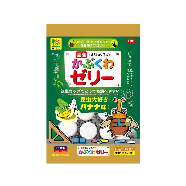三晃商会　国産 はじめてのかぶくわゼリー １６ｇ×３０個はじめての昆虫飼育にはコレ！！広口・浅型カップでとっても食べやすいカブトムシ・クワガタムシの成虫用の昆虫ゼリー昆虫大好きバナナ味。---対象---カブトムシ・クワガタムシ---原産国-...