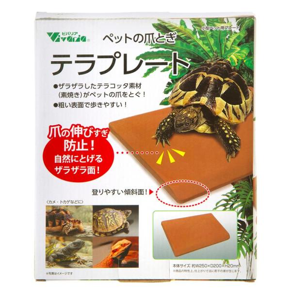 ビバリア　テラプレート小型ペット用の爪とぎプレートです。ザラザラしたテラコッタ素材（素焼き）のプレートを置くだけで爪の伸びすぎを抑える効果が期待できます。表面の粗いプレートは傾斜面で登りやすいです。---対象---カメ、トカゲなど---原産...