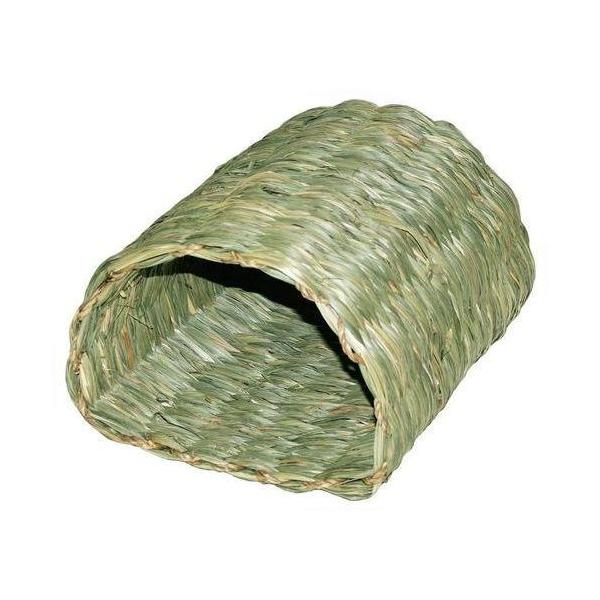 川井 わらっこ倶楽部 トンネルハウス