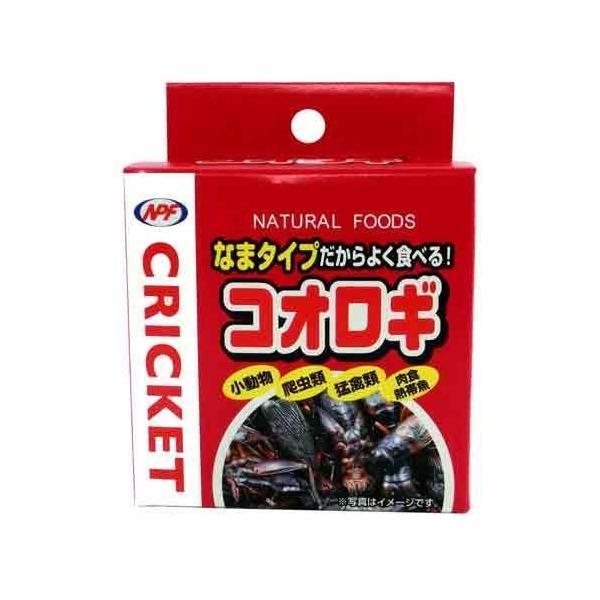 ＮＰＦ　　コオロギ　４０ｇ※箱よごれあり・賞味期限：２０２７/０５/０７〜完全殺菌による清潔さと、使いたい時に使える簡便さを併せ持った嗜好性抜群の天然素材缶詰フードです。選りすぐった“コオロギ”を高熱スチームで瞬時に生き締めました。与えやす...