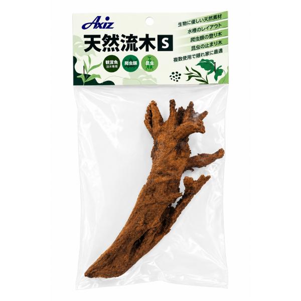 Axiz 天然流木 Ｓ