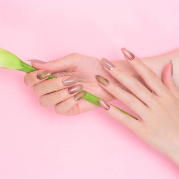 Beauty Avenue 美人百花 コラボ ビューティーアベニュー col.マロン