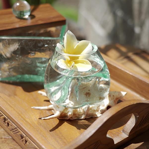 �i�`�������V�F�� �O���X�e�����E�� �썑 �o���G�� ���]�[�g �A�W�A�� �A�W�A���G�� �e�����E��