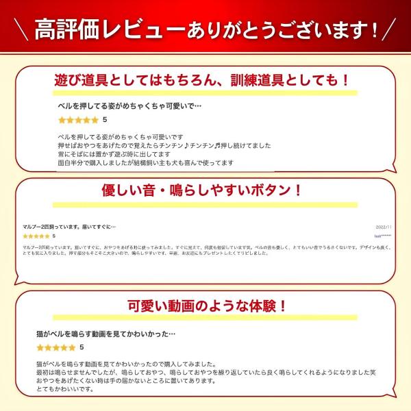 aniviawork_traning-bell_19_d_20240201153138