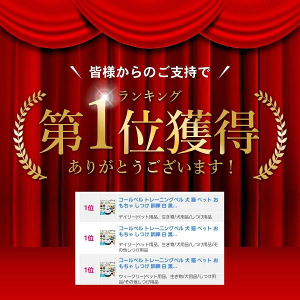 aniviawork_traning-bell_2_d_20230210121056