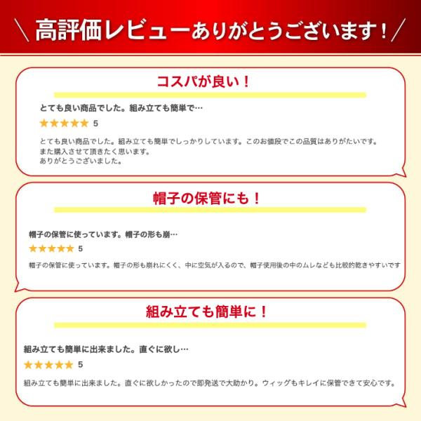 aniviawork_wig-stand_11_d_20240308161744