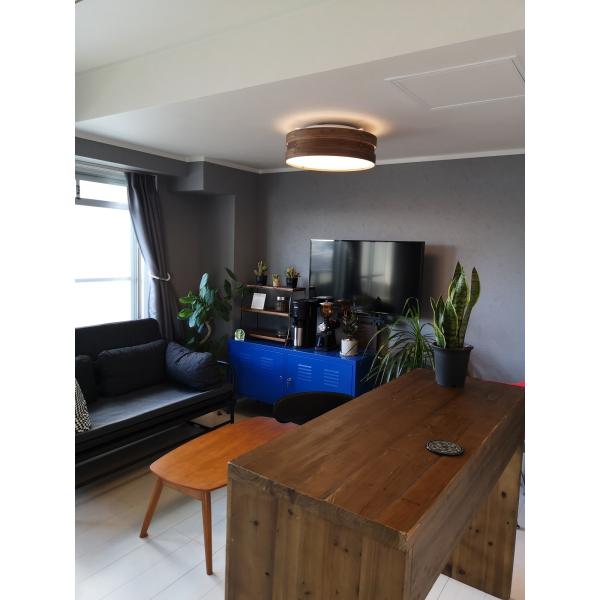 最大93％オフ！ Capiente2 カピエンテ2 2灯シーリングライト LED電球