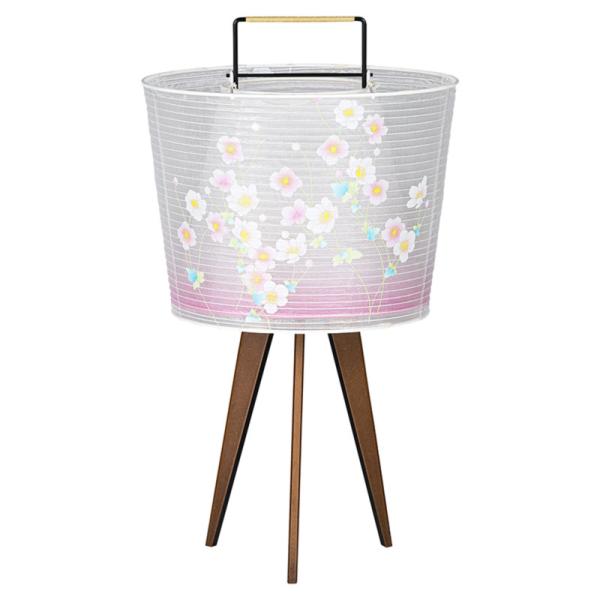 ~ ~傤 CeA _s ~ V~ ~ 䋟 aƓ H