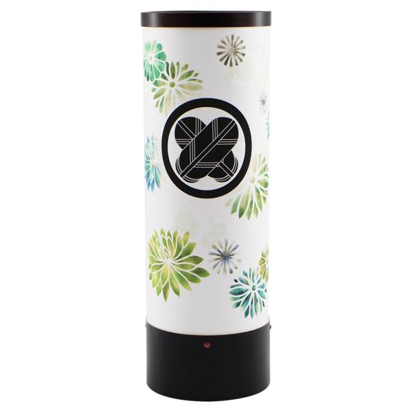 ~ ~傤 CeA _s ~ V~ ~ 䋟 u ق̂ Ɩ v LED R[hX Rt