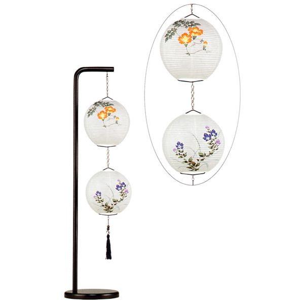 ~ ~傤 CeA _s ~ V~ ~ 䋟 NIE[`F û񂩂/j[v a LED R[hX OZ-14231N