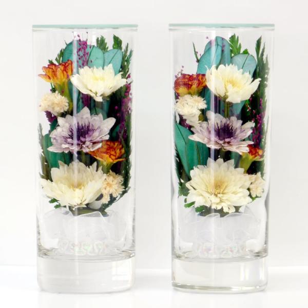  hCt[ {gt[ OXt[ dp  OX vG[SSC 7944N