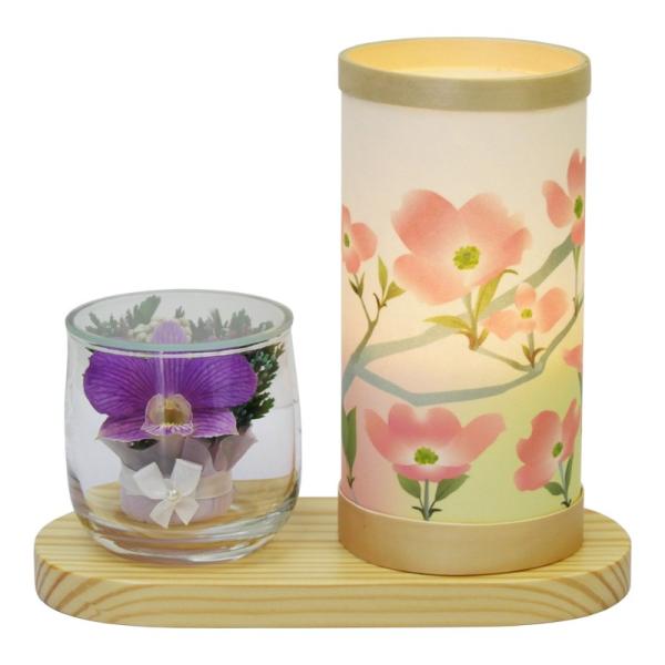 ~ ~傤 CeA _s ~ V~ ~ 䋟 vG[X^h ni~YL LED R[hX OZ-7963N