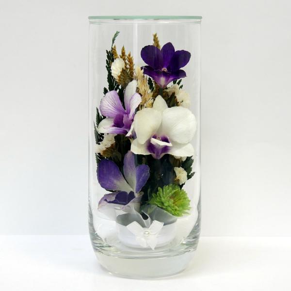   hCt[ {gt[ OXt[ dp OX vG[MB 7975N