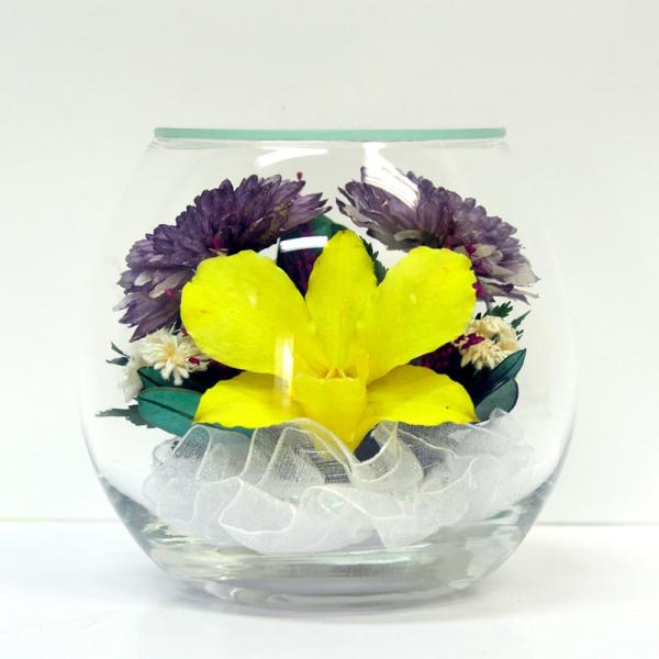   hCt[ {gt[ OXt[ dp OX vG[SMC 7997