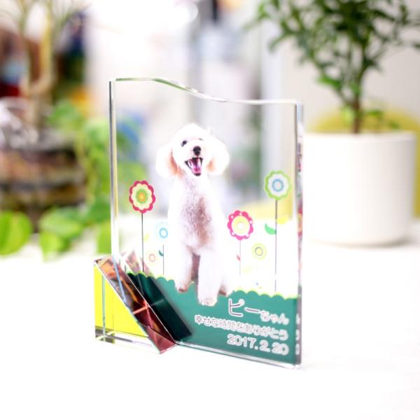 ybg ʔv NX^KX KP-20U TCY