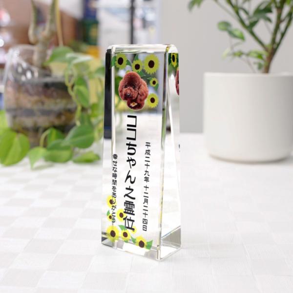 ybg ʔv NX^KX KP-24U TCY