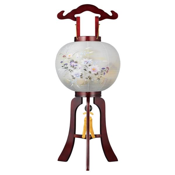 ~ ~傤 s ~ V~ ~ 䋟 MGJiȁjs 11  d YT-1784