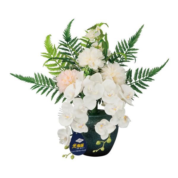 ~ ~傤 O ~ V~ ~ 䋟 ~iX Ӓ AW G}  YT-400