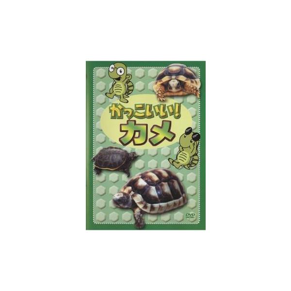 (ジャンル) 趣味、実用 動物 子供向け、教育 (入荷日) 2023-02-18