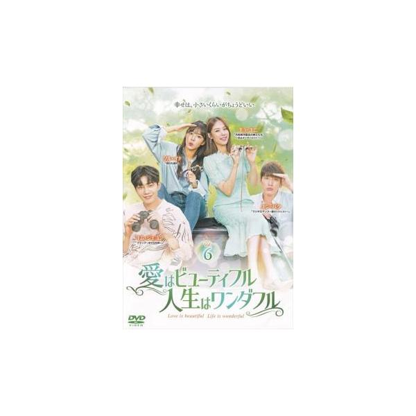 愛はビューティフル、人生はワンダフル 6(第11話、第12話) レンタル落ち 中古 DVD ケース無