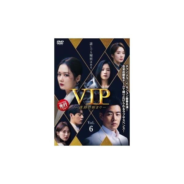 VIP 迷路の始まり 6(第11話、第12話)【字幕】 レンタル落ち 中古 DVD ケース無