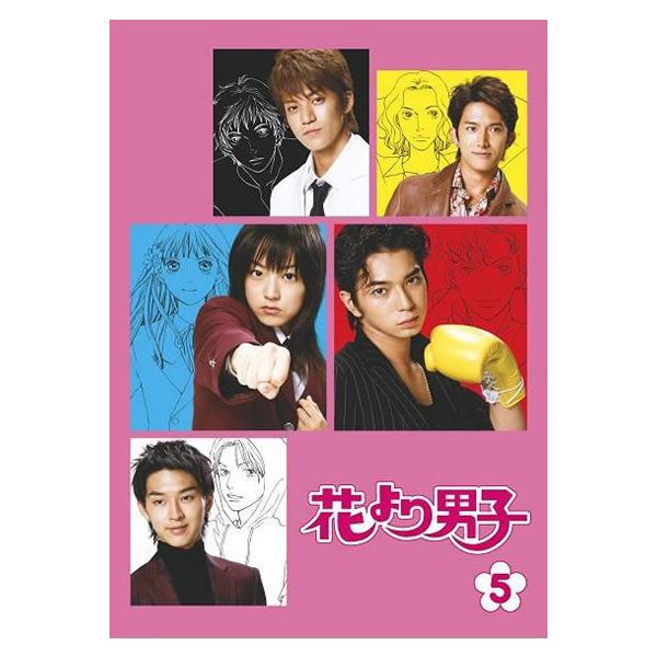 訳あり】花より男子 5(第9話 最終) ※ディスクのみ ※センターホール割れ