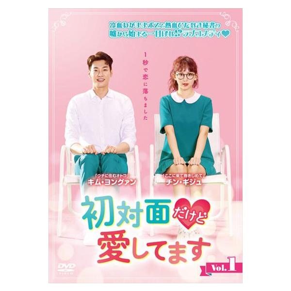初対面だけど愛してます 1(第1話、第2話)【字幕】 レンタル落ち 中古 DVD ケース無