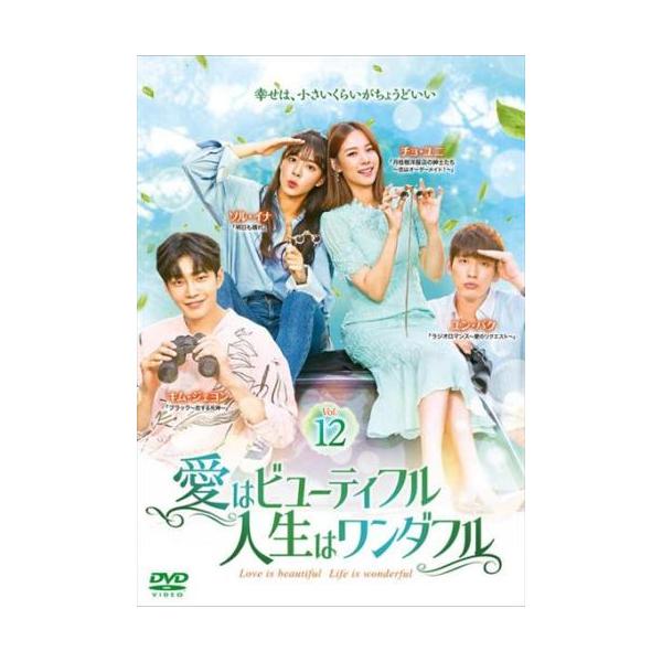 【訳あり】愛はビューティフル 人生はワンダフル 12(第23話、第24話) ※ジャケットに難あり レンタル落ち 中古 DVD ケース無